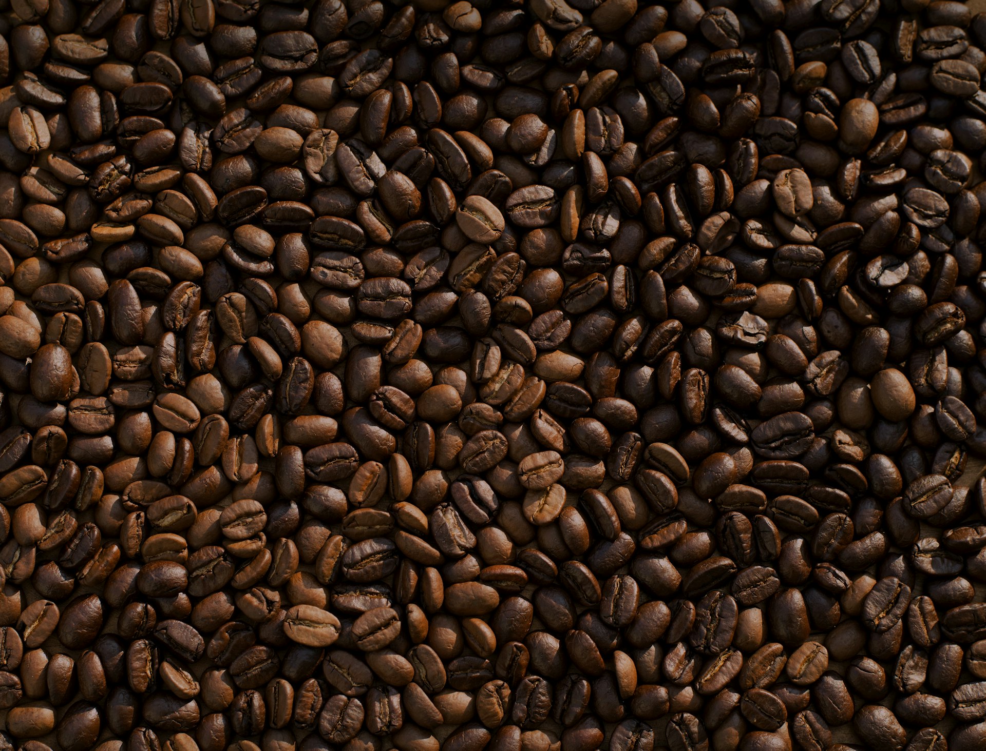 Beni Brew